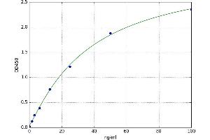 A typical standard curve (CD8 alpha ELISA Kit)