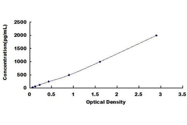 Olfactomedin 4 ELISA Kit