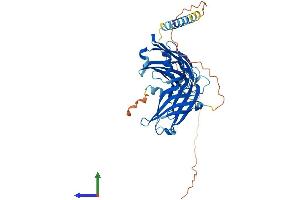 Protein Structure (PS) image for Synaptotagmin VIII (SYT8) (AA 1-395) protein (His tag) (ABIN7556194)