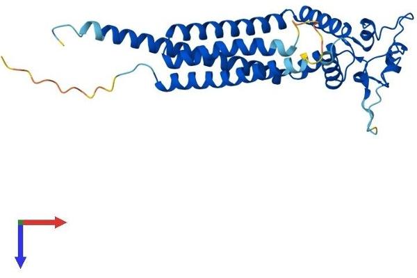 TSPAN33 Protein (AA 1-283) (His tag)
