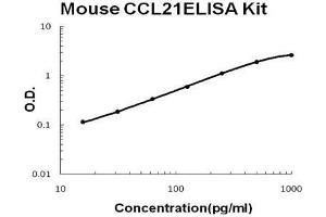 Mouse CCL21/6Ckine PicoKine ELISA Kit standard curve