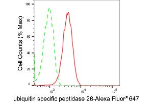 Flow cytometric analysis of ubiquitin specific peptidase 28 expression in HepG2 cells using ubiquitin specific peptidase 28 antibody (ABIN7800733), 1:2,000).