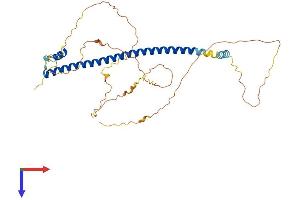 CREB3L4 Protein (AA 1-370) (His tag)