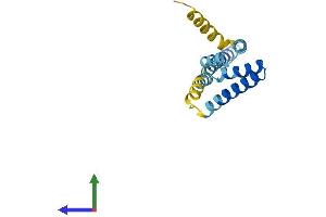 Protein Structure (PS) image for Translocase of Outer Mitochondrial Membrane 20 Like (TOMM20L) (AA 1-152) protein (His tag) (ABIN7544468)