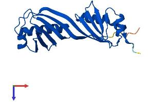 TBPL1 Protein (AA 1-186) (His tag)