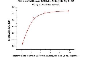 Immobilized CetuxiMab at 1 μg/mL (100 μL/well) can bind Biotinylated Human EGFRvIII, Avitag,His Tag (ABIN4949021,ABIN4949022) with a linear range of 0.