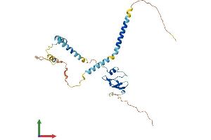 Protein Structure (PS) image for HLA-DR-gamma (CD74) (AA 1-279) protein (His tag) (ABIN7562742)