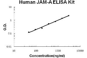 Human JAM-A PicoKine ELISA Kit standard curve (F11R ELISA Kit)