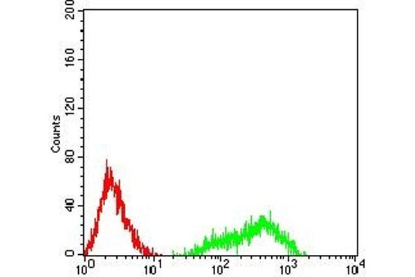 Sialoadhesin/CD169 Antikörper  (AA 20-197)