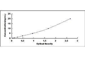 CRHR2 ELISA Kit