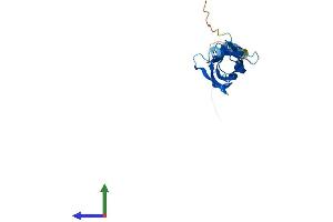 Protein Structure (PS) image for Tumor Necrosis Factor (Ligand) Superfamily, Member 4 (TNFSF4) (AA 1-198) protein (His tag) (ABIN7563264)