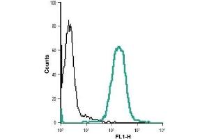 Cell surface detection of VPAC1 in live intact Jurkat (human T cell leukemia cells) cell line: (black line) Cells + goat-anti-rabbit-DyLight-488. (VIPR1 Antikörper  (Extracellular))
