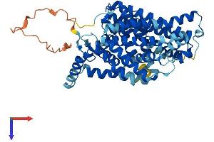 SLC7A11 Protein (AA 1-501) (His tag)