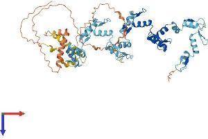 ZFP69 Protein (AA 1-566) (His tag)