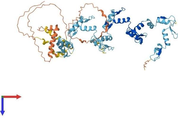 ZFP69 Protein (AA 1-566) (His tag)