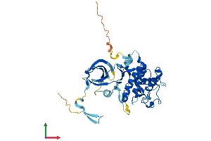 AlphaFold protein structure predicition of Mouse Recombinant Cdk10 Protein, UniprotID Q3UMM4