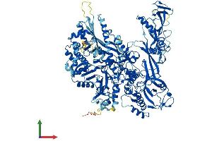 AlphaFold protein structure predicition of Mouse Recombinant Polr2b Protein, UniprotID Q8CFI7