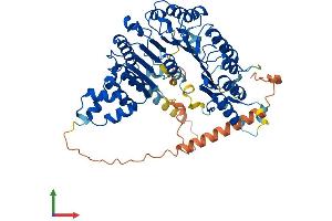 Protein Structure (PS) image for F-Box Protein 33 (FBXO33) (AA 1-555) protein (His tag) (ABIN7547672)