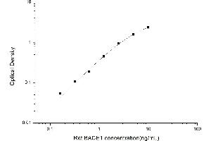 BACE1 ELISA Kit