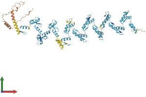 AlphaFold protein structure predicition of Human Recombinant ZNF107 Protein, UniprotID Q9UII5