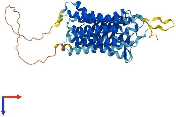 GPR172A Protein (AA 1-445) (His tag)