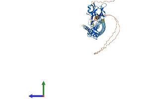 Protein Structure (PS) image for Ring Finger Protein 8 (RNF8) (AA 1-485) protein (His tag) (ABIN7555240)