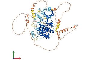 Protein Structure (PS) image for Mitogen-Activated Protein Kinase 4 (MAPK4) (AA 1-587) protein (His tag) (ABIN7549406)