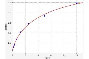 ATP6AP2 ELISA Kit