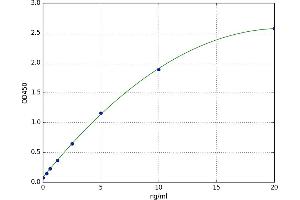 Protein Disulfide Isomerase Family A, Member 4 (PDIA4) ELISA Kit