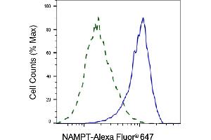Validation of NAMPT knockdown using flow cytometry. (Rekombinanter NAMPT Antikörper)