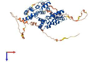 Annexin A11 Protein (ANXA11) (AA 1-503) (His tag)