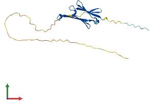 Protein Structure (PS) image for Heat Shock 27kDa Protein Family, Member 7 (Cardiovascular) (HSPB7) (AA 1-170) protein (His tag) (ABIN7548413)