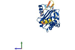 AlphaFold protein structure predicition of Human Recombinant AP3S1 Protein, UniprotID Q92572
