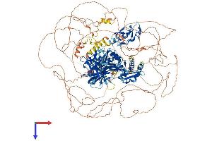 ZFYVE9 Protein (AA 1-1425) (His tag)