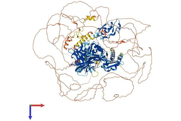 ZFYVE9 Protein (AA 1-1425) (His tag)