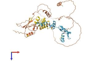 AlphaFold protein structure predicition of Human Recombinant ZBTB26 Protein, UniprotID Q9HCK0