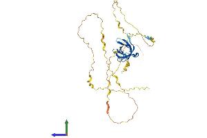 AlphaFold protein structure predicition of Human Recombinant YBX2 Protein, UniprotID Q9Y2T7