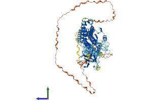 Protein Structure (PS) image for Dynamin 2 (DNM2) (AA 1-870) protein (His tag) (ABIN7563207)