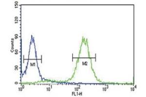 Anti-PCSK9 antibody flow cytometric analysis of HeLa cells (right histogram) compared to a negative control (left histogram).