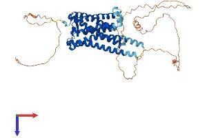 OPN4 Protein (AA 1-521) (His tag)