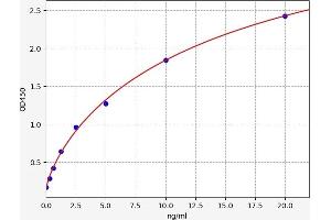 Typical standard curve (SIRT7 ELISA Kit)