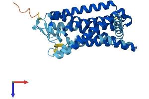 OR2W1 Protein (AA 1-320) (His tag)