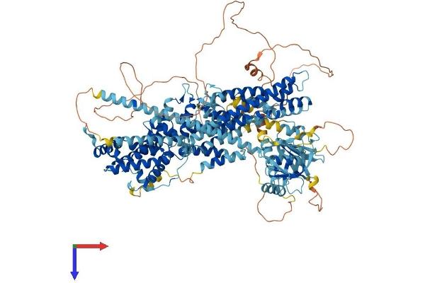 Ras Protein-Specific Guanine Nucleotide-Releasing Factor 2 (RASGRF2) (AA 1-1237) protein (His tag)