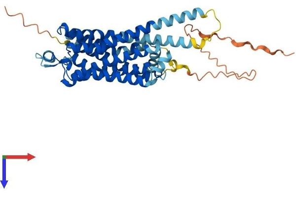 Serotonin Receptor 4 Protein (HTR4) (AA 1-388) (His tag)