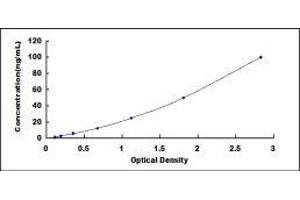 ELISA image for G Protein-Coupled Receptor 172A (GPR172A) ELISA Kit (ABIN422330)