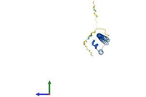 Protein Structure (PS) image for Transcription Factor MafK (MAFK) (AA 1-156) protein (His tag) (ABIN7549311)