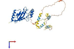 UBE2U Protein (AA 1-321) (His tag)