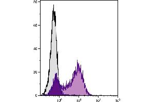 BALB/c mouse splenocytes were stained with Rat Anti-Mouse CD62L-UNLB. (L-Selectin Antikörper)