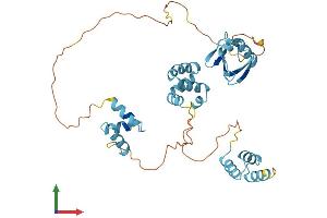 Protein Structure (PS) image for RAD23 Homolog A (RAD23A) (AA 1-363) protein (His tag) (ABIN7563448)