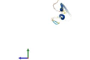 Protein Structure (PS) image for Keratin 20 (KRT20) (AA 1-431) protein (His tag) (ABIN7560938)
